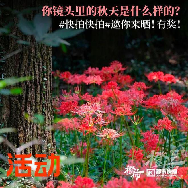 分享杭州周边宝藏购物地送你当季秋款儿童外套(图11)